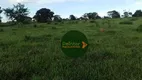 Foto 10 de Fazenda/Sítio à venda, 242000m² em Zona Rural, São Francisco de Goiás