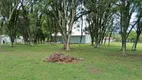 Foto 16 de Fazenda/Sítio com 5 Quartos à venda, 5221m² em Area Rural de Sao Jose dos Pinhais, São José dos Pinhais