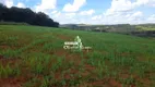 Foto 5 de Lote/Terreno à venda, 1210000m² em Zona Rural, Leopoldo de Bulhões