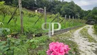 Foto 6 de Fazenda/Sítio com 3 Quartos à venda, 500m² em Sao Joao, Colombo