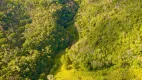 Foto 21 de Fazenda/Sítio com 5 Quartos à venda, 590000m² em , Alfredo Wagner