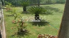 Foto 5 de Fazenda/Sítio com 3 Quartos à venda, 75m² em Area Rural de Uberlandia, Uberlândia