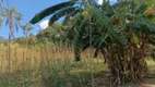 Foto 44 de Fazenda/Sítio à venda, 50000m² em Ponte Alta Norte, Brasília