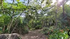 Foto 16 de Lote/Terreno à venda, 42527m² em Borrifos, Ilhabela