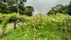 Foto 5 de Fazenda/Sítio com 2 Quartos à venda, 18555m² em Campestre da Faxina, São José dos Pinhais