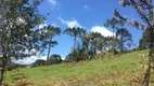 Foto 10 de Lote/Terreno com 1 Quarto à venda, 30000m² em , Urubici