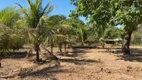 Foto 5 de Fazenda/Sítio com 2 Quartos à venda, 14000m² em Centro, Governador Edison Lobão