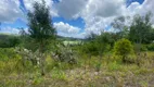 Foto 15 de Lote/Terreno à venda, 100000m² em , Monte Belo do Sul