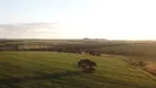 Foto 30 de Fazenda/Sítio com 3 Quartos à venda, 100m² em Zona Rural, Piracanjuba