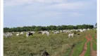 Foto 10 de Fazenda/Sítio com 7 Quartos à venda em , Lagoa da Confusão