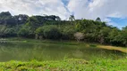 Foto 33 de Fazenda/Sítio com 4 Quartos à venda, 19000m² em Centro, Mandirituba