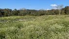 Foto 13 de Fazenda/Sítio à venda, 220000m² em Distrito de Taquaras, Rancho Queimado