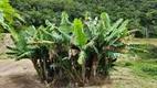 Foto 8 de Lote/Terreno com 1 Quarto à venda, 10000m² em Campo Limpo, Teresópolis