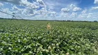 Foto 6 de com 8 Quartos à venda, 3500000m² em Zona Rural, Inhaúma