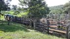 Foto 8 de Fazenda/Sítio com 4 Quartos à venda, 150m² em Setor Central, Hidrolândia