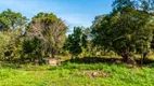 Foto 42 de Fazenda/Sítio com 3 Quartos à venda, 500m² em Pau Queimado, Piracicaba