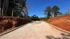 Foto 26 de Lote/Terreno à venda, 760m² em Travessão, Dois Irmãos