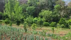 Foto 6 de Fazenda/Sítio com 3 Quartos à venda, 17000m² em Campestre dos Paulas, Mandirituba