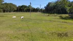 Foto 22 de Fazenda/Sítio com 4 Quartos à venda, 10001m² em Fiuza, Viamão