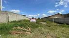 Foto 11 de Lote/Terreno à venda, 654m² em Borda do Campo, São José dos Pinhais