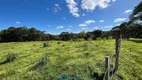 Foto 6 de Fazenda/Sítio com 1 Quarto à venda, 20000m² em São Victor Cohab, Caxias do Sul