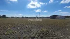 Foto 10 de Lote/Terreno à venda, 42000m² em Roseira de São Sebastião, São José dos Pinhais