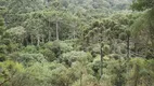 Foto 7 de Lote/Terreno à venda em Vacas Gordas, Urubici