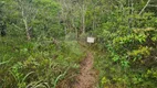 Foto 10 de Fazenda/Sítio à venda, 20000m² em Centro, Corumbá de Goiás