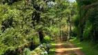 Foto 2 de Fazenda/Sítio com 1 Quarto à venda, 20000m² em Zona Rural, Gonçalves