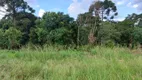 Foto 3 de Fazenda/Sítio com 1 Quarto à venda, 3800m² em Campo Largo da Roseira, São José dos Pinhais