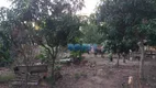 Foto 8 de Fazenda/Sítio com 2 Quartos à venda, 1250m² em Jardim Vila Verde I, Itu