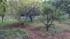 Foto 20 de Fazenda/Sítio com 2 Quartos à venda, 2490m² em Campo Verde, Ibiúna