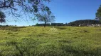 Foto 2 de Lote/Terreno para alugar, 10400m² em Jardim Manoel Penna, Ribeirão Preto