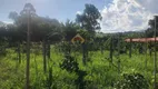 Foto 26 de Fazenda/Sítio com 3 Quartos à venda, 124000m² em Chácara Florida, Taubaté