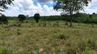 Foto 15 de Fazenda/Sítio à venda em Zona Rural, Araguainha