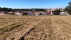 Foto 4 de Lote/Terreno à venda, 10000m² em Vila Santa Terezinha, Campo Largo