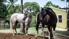 Foto 67 de Fazenda/Sítio com 12 Quartos à venda, 1637m² em Vila de Abrantes Abrantes, Camaçari