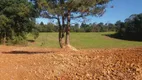 Foto 11 de Lote/Terreno à venda, 5000m² em Vila Delurdes, Campo Largo