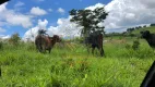 Foto 7 de Fazenda/Sítio com 5 Quartos à venda, 192m² em Centro, Araxá