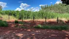 Foto 12 de Fazenda/Sítio com 4 Quartos à venda, 120m² em Zona Rural, Tambaú