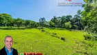 Foto 20 de Fazenda/Sítio com 3 Quartos à venda, 10800m² em Zona Rural, Igrejinha
