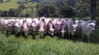 Foto 2 de Fazenda/Sítio à venda em Centro Sao Francisco Xavier, São José dos Campos