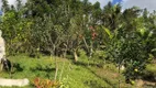 Foto 7 de Fazenda/Sítio com 3 Quartos à venda, 18000m² em Jardim Tropical, Nova Iguaçu