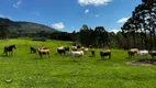 Foto 17 de Fazenda/Sítio à venda, 700000m² em Zona Rural, Urubici