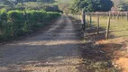 Foto 16 de Fazenda/Sítio com 3 Quartos à venda, 200m² em CARDEAL, Elias Fausto