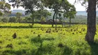 Foto 2 de Fazenda/Sítio à venda, 10280000m² em Centro, Rondonópolis