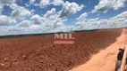 Foto 35 de Fazenda/Sítio à venda em Zona Rural, João Pinheiro