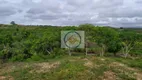 Foto 6 de Fazenda/Sítio com 3 Quartos à venda, 21200m² em , Itaporanga d'Ajuda