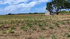 Foto 15 de Fazenda/Sítio com 3 Quartos à venda, 13500m² em Zona Rural, Monte Alegre