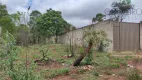 Foto 5 de Lote/Terreno à venda, 423m² em Porto Seguro, Ribeirão das Neves